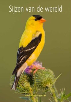 Sijzen van de wereld