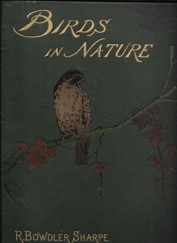 Birds in Nature