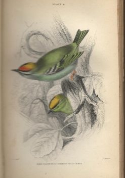 The Birds of Great Britain and Ireland Vol 1 t/m 4 - Afbeelding 2