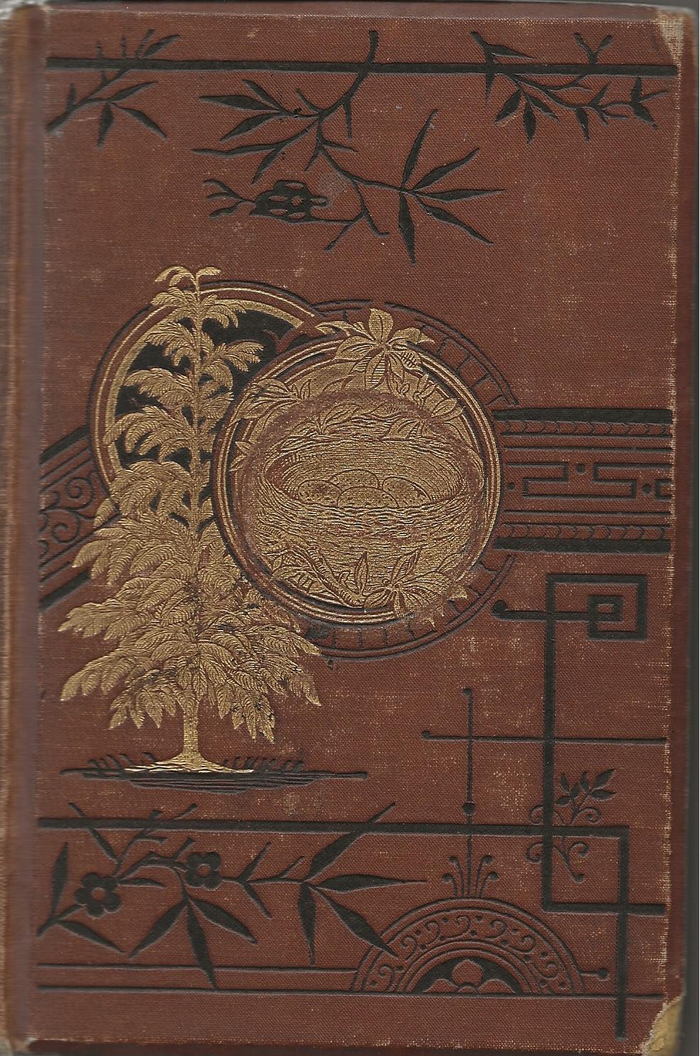 British Bird's Eggs and Nests Popularly Described