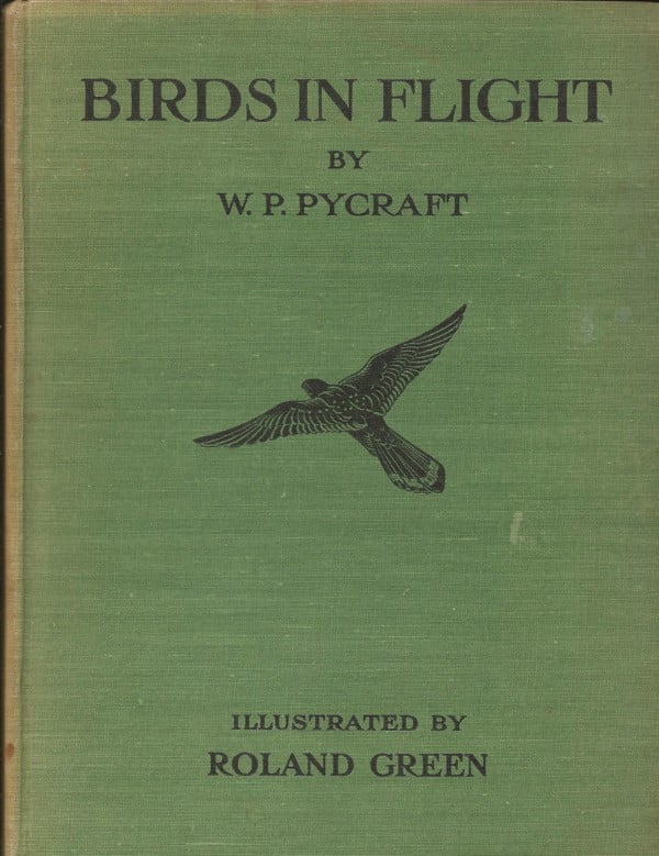 Birds in Flight