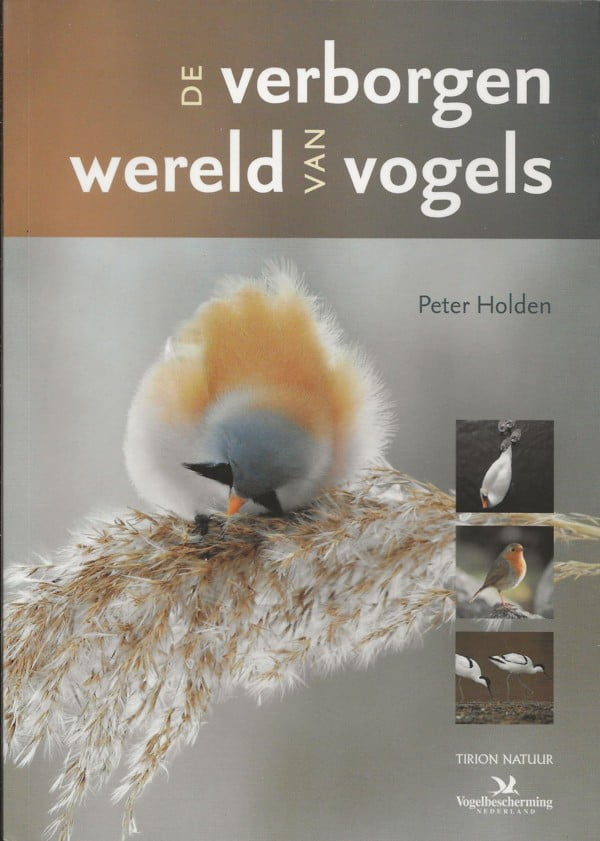 De verborgen wereld van vogels