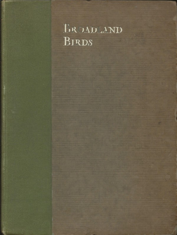 Broadland Birds