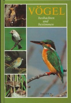 Vögel beobachten und bestimmen