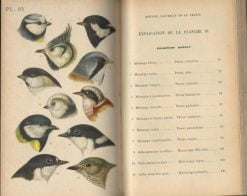 Histoire Naturelle de la France - 3e - Oiseaux - Afbeelding 2
