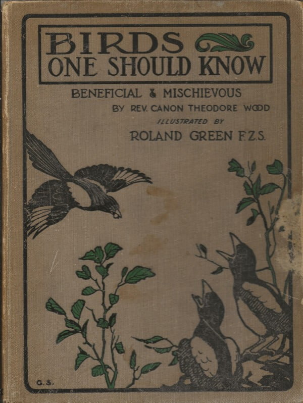 Birds one should know - Beneficial & Mischievous
