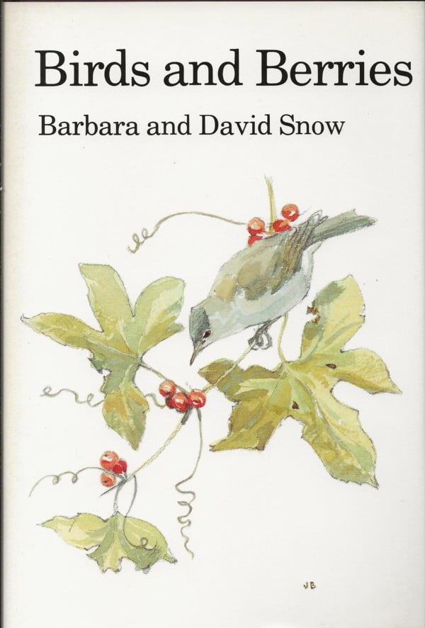 Birds and Berries
