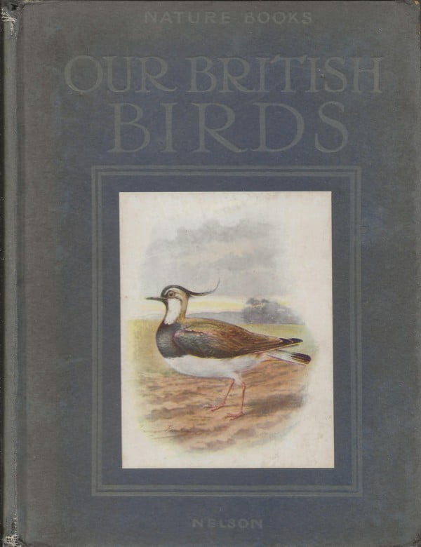 Our British Birds