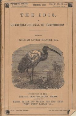 The Ibis : Review of the Genus Cisticola