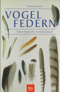 Vogelfedern
