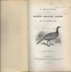 A History of the Rarer British Birds - Afbeelding 2