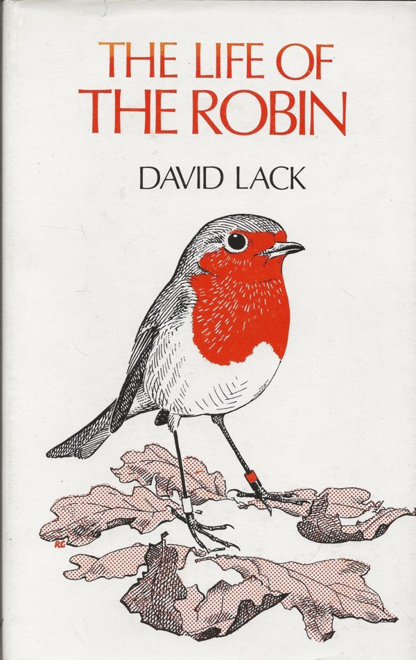 The Life of the Robin