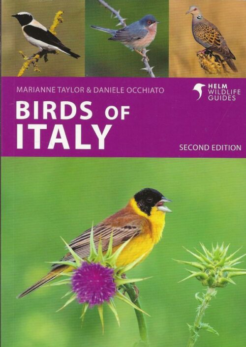 Birds of Italy A Photographic Guide