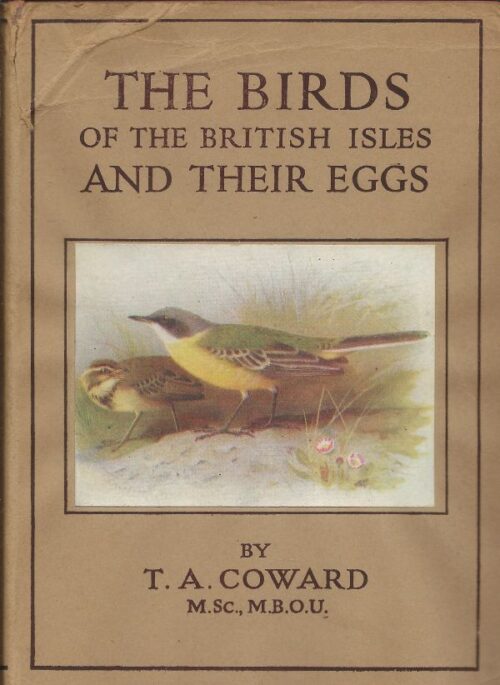 The Birds of the British Isles and their Eggs