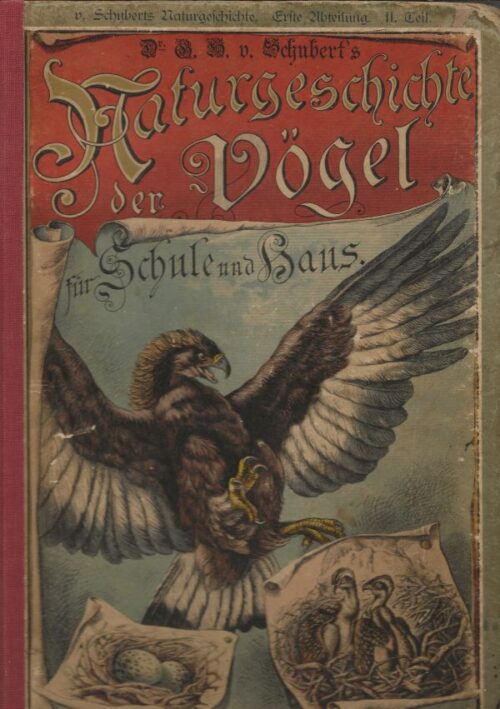 Schubert's Naturgeschichte - Naturgeschichte der Vögel. Zum Anschauungs-Unterricht für die Jugend in Schulen und Familien.