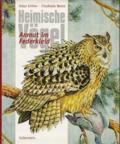 Heimische Vögel - Anmut in Federkleid