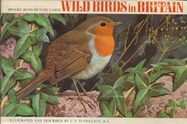Wild Birds in Britain