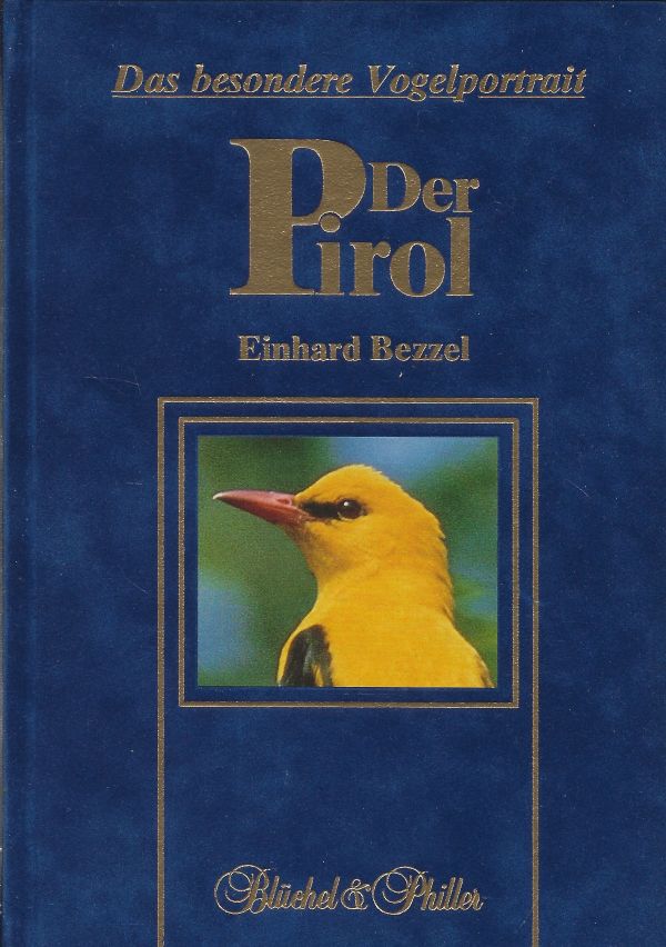 Der Pirol