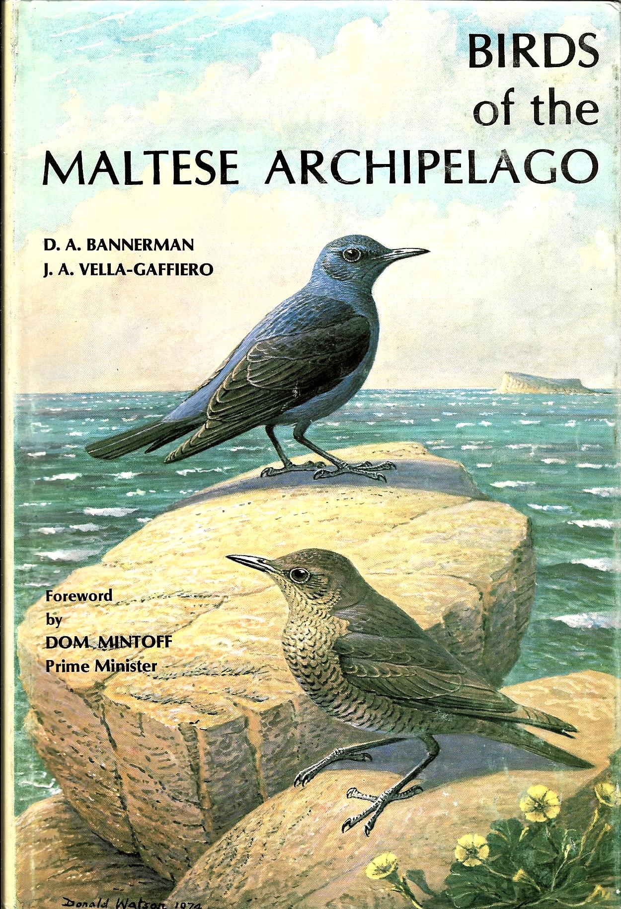 Birds of the Maltese Archipelago