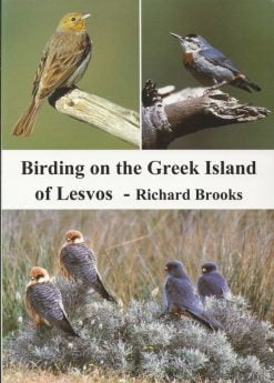Birding on the Greek Island of Lesvos