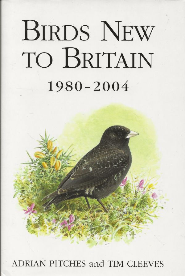 Birds New to Britain 1980 - 2004