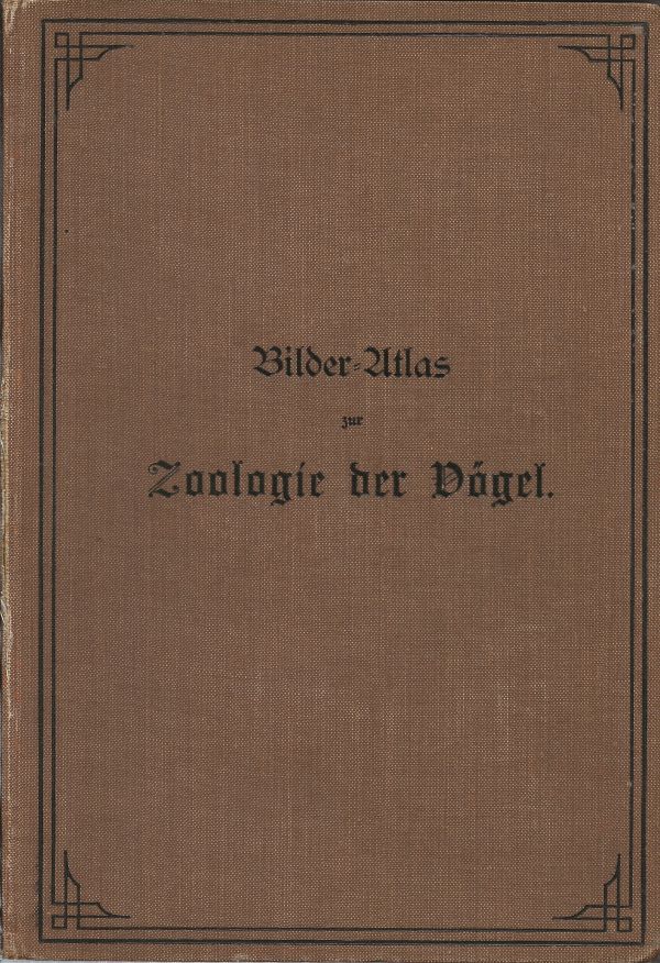 Bilder Atlas zur Zoologie der Vögel