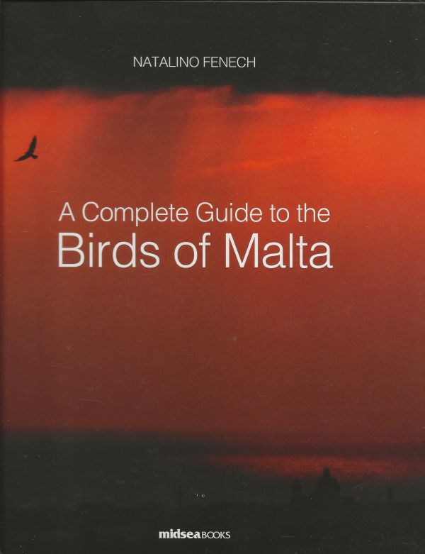 A Complete Guide to the Birds of Malta