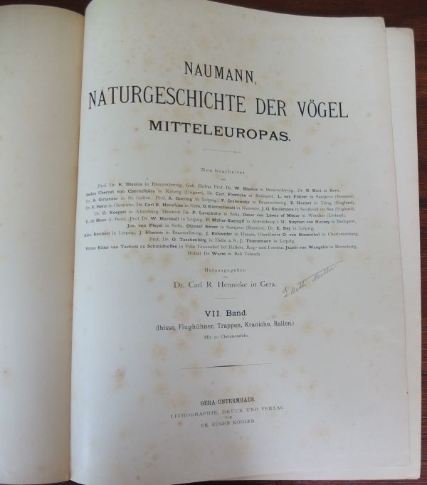 Naumann, Naturgeschichte der Vögel Mitteleuropas VII Band - Afbeelding 2