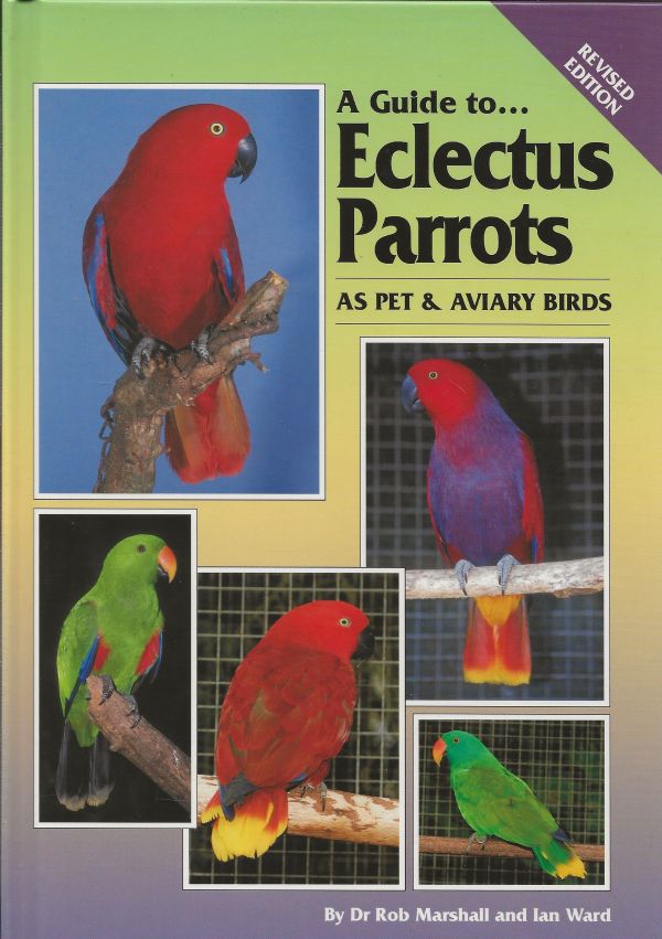 A Guide to Eclectus Parrots