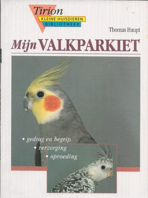 Mijn valkparkiet