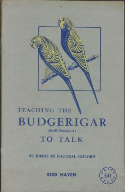 Teaching the budgerigar to talk