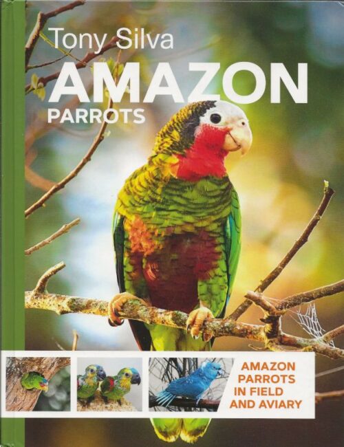 Amazon Parrots in Field and Aviary
