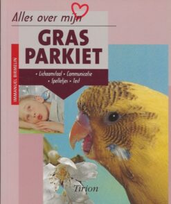 Alles over mijn grasparkiet