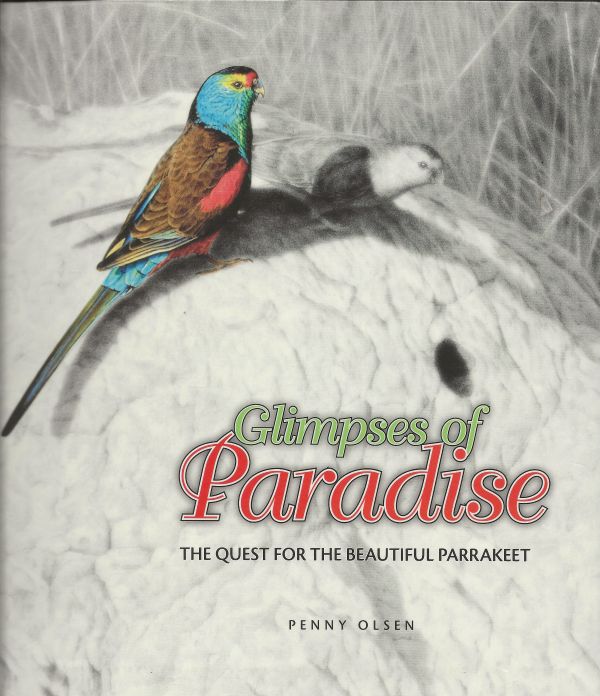 Glimpses of Paradise - The quest for the beautiful parrakeet
