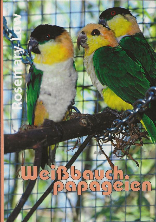 Weissbauchpapageien