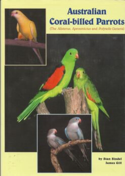 Australian Coral-billed Parrots