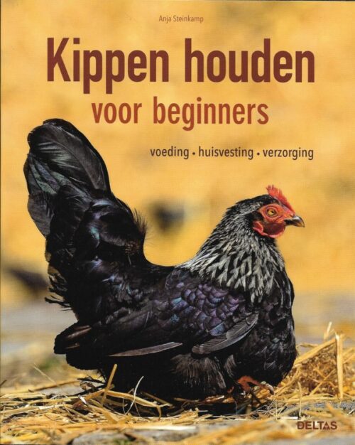 Kippen houden voor beginners