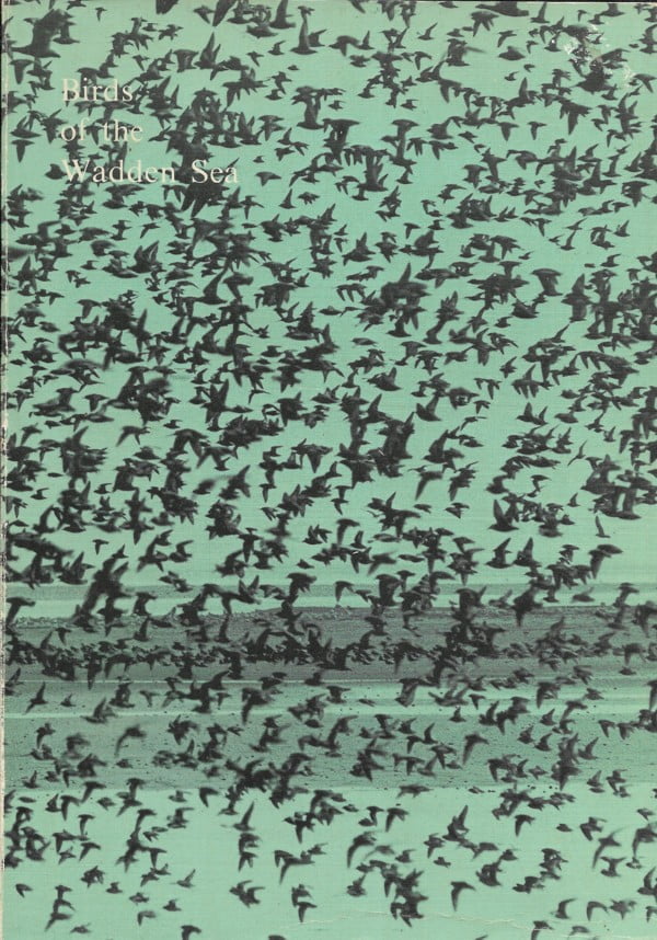 Birds of the Wadden Sea