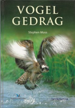 Vogelgedrag