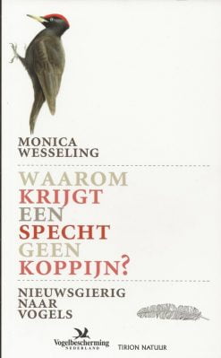 Waarom krijgt een specht geen koppijn?