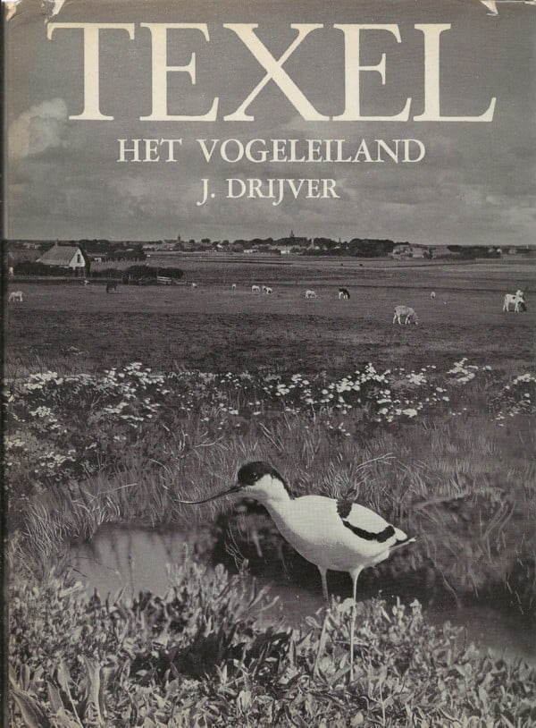 Texel het vogeleiland