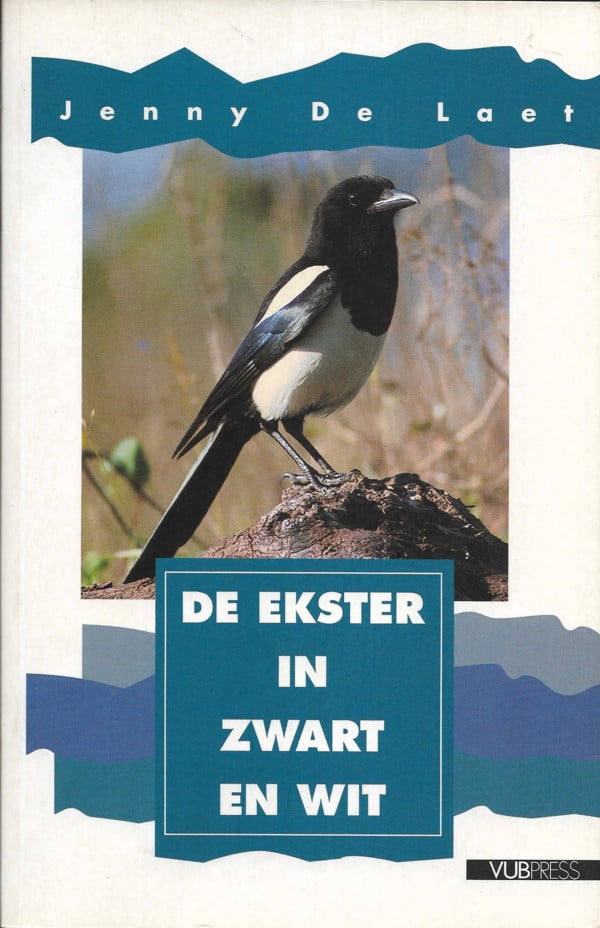 De ekster in zwart en wit
