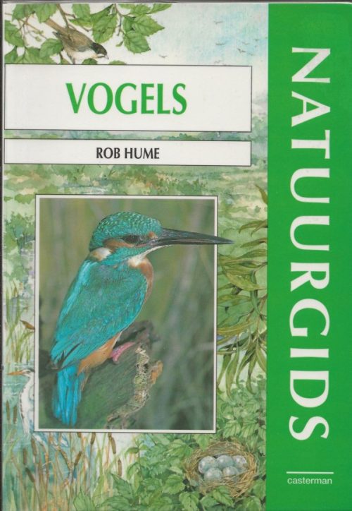 Vogels de eerste gids voor het gezin