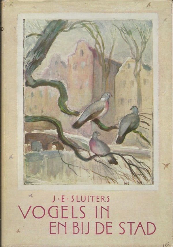 Vogels in en bij de stad