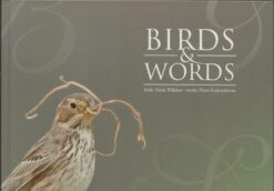 Birds & Words