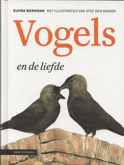 Vogels en de liefde