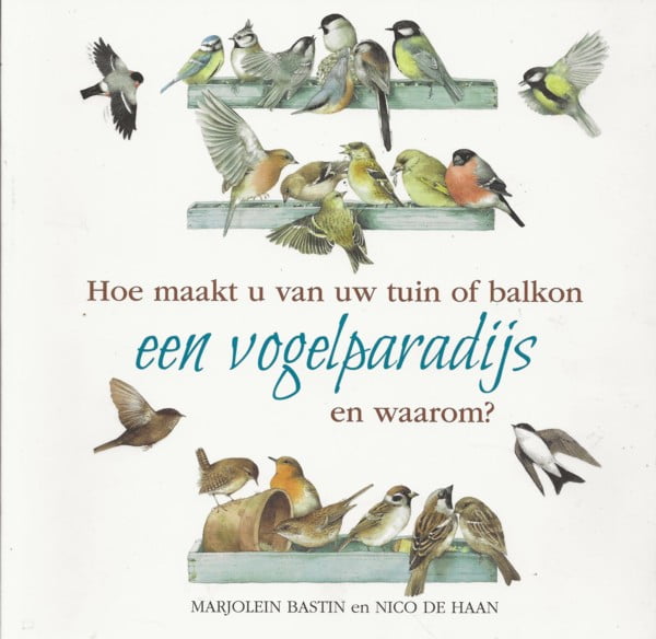 Hoe maakt u van uw tuin of balkon een vogelparadijs en waarom?