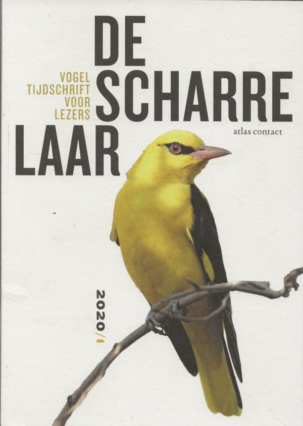 De Scharrelaar Vogeltijdschrift 2020/1