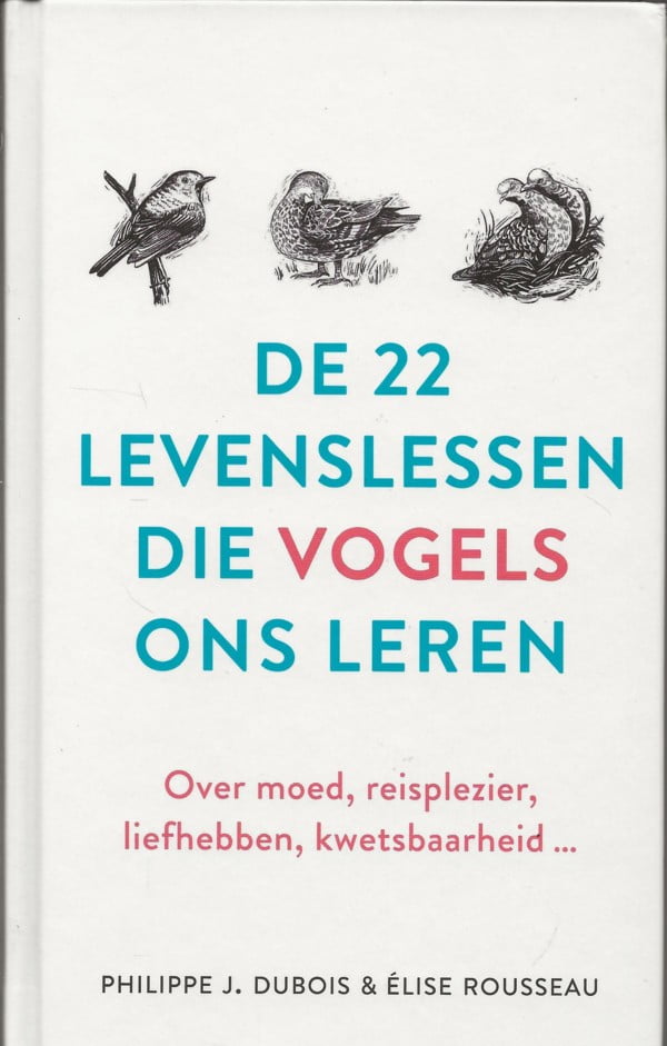 De 22 levenslessen die vogels ons leren