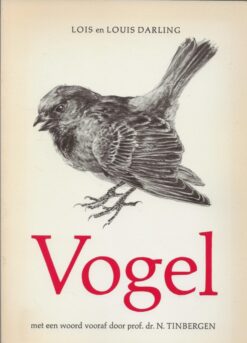 Vogel